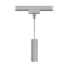 Adaptador de péndulo para DUOline riel, titanio