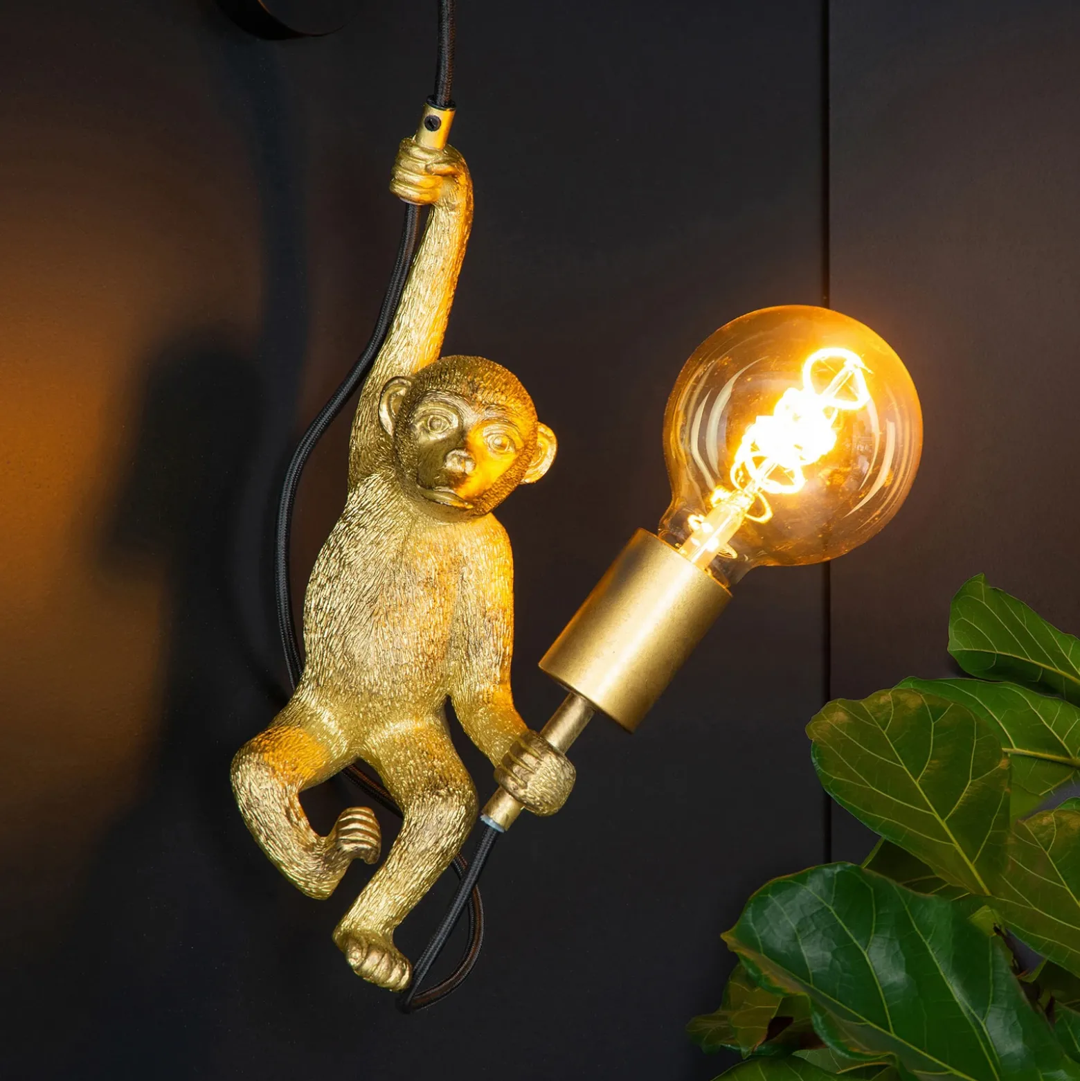 Aplique de pared Extravaganza Chimp, dorado mate/negro
