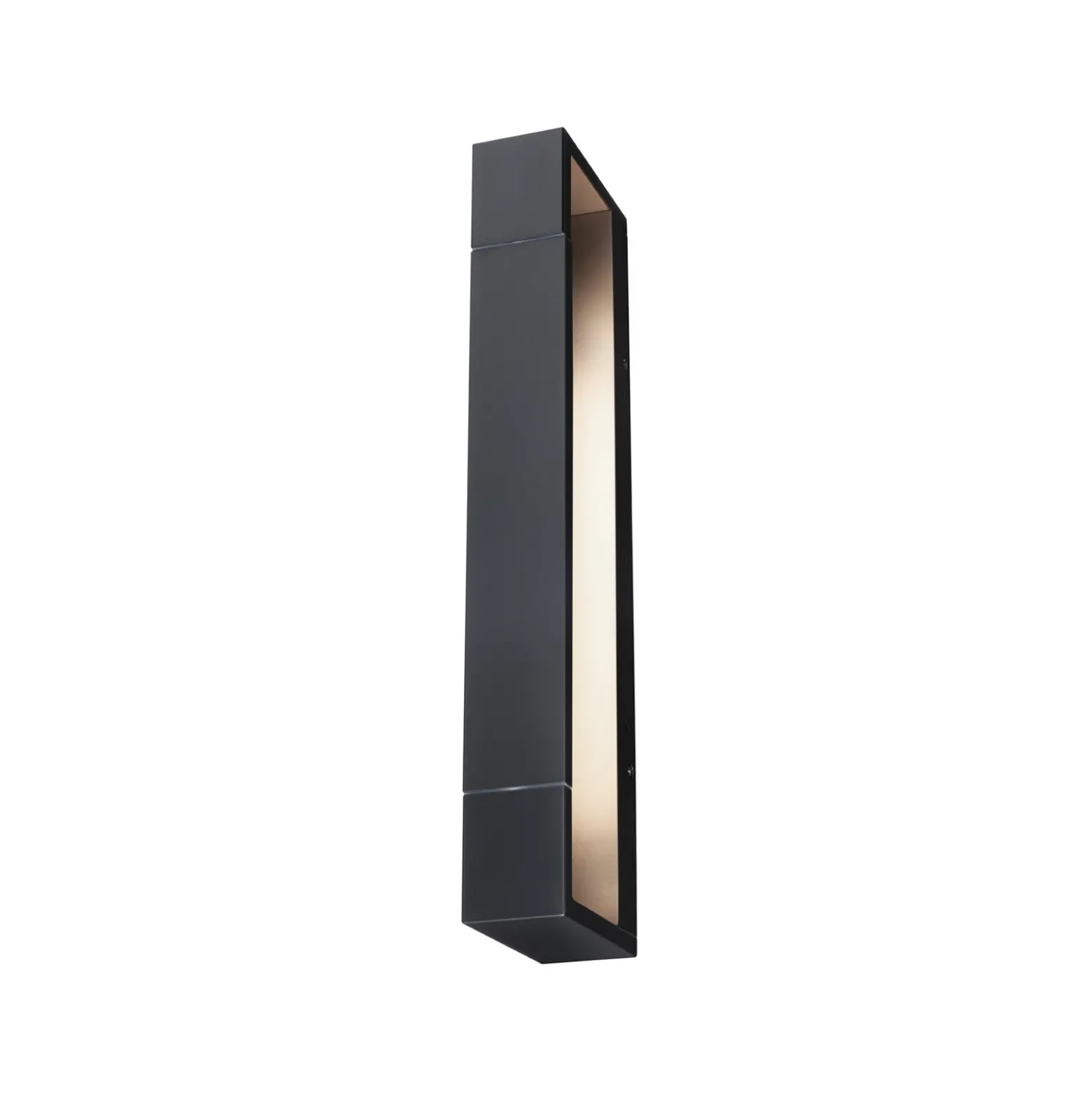 Aplique de pared LED Lucille de Paulmann, negro, 40 cm, IP44, atenuable