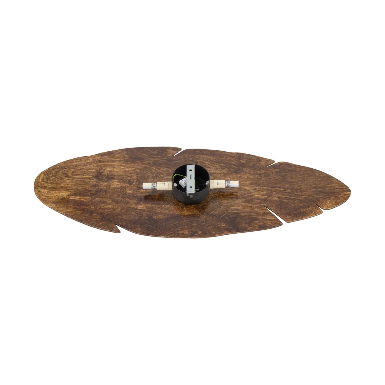 Aplique de pared Lehti de Envostar, forma de hoja, nogal, 69 x 24 cm