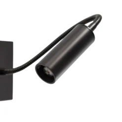 Aplique de pared Ojos, antracita, lámpara de lectura, ajustable, 33 cm, G9