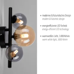 Aplique de pared Popsicle de Paul Neuhaus, negro, cristal, 29 cm, G9