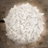 Aplique de pared Slamp Veli Foliage Large, Ø 75 cm