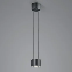 BANKAMP Impulse Flex colgante LED 1 luz negro