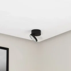 Bega LED downlight de techo 51312.5 negro metal DALI orientable