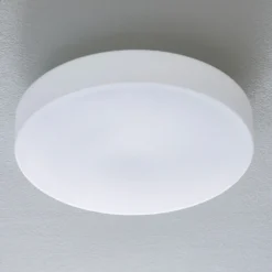 Bega 50652 Plafón LED cristal opal 3.000K Ø39cm
