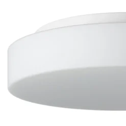 Bega 50651 Plafón LED cristal opal 3.000K Ø34cm
