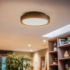 BRUMBERG 60107 plafón LED, redondo
