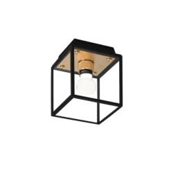 Buster + Punch Caged Wet Small IP44 latón