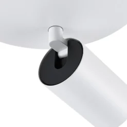 Downlight CAN TILT, blanco, Ø 20 cm, 2 luces, metal, GU10