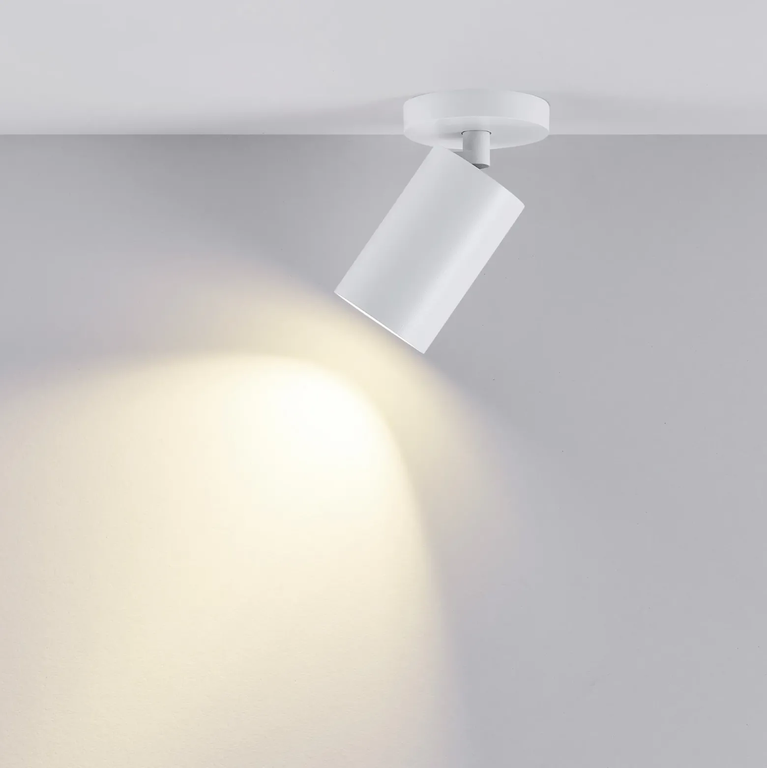 Downlight CAN TILT, blanco, Ø 8 cm, 1 luz, metal, GU10