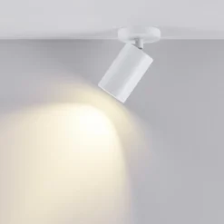 Downlight CAN TILT, blanco, Ø 8 cm, 1 luz, metal, GU10