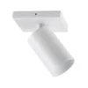 Downlight CAN TILT, blanco, 11 x 9 cm, 1 luz, metal GU10