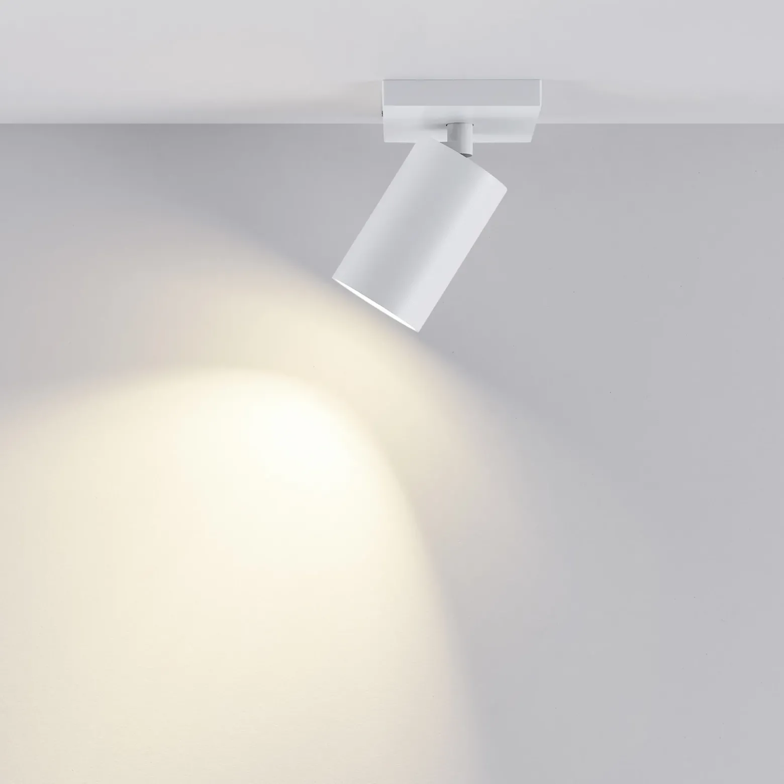 Downlight CAN TILT, blanco, 11 x 9 cm, 1 luz, metal GU10