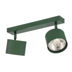 Downlight Chloe orientable 2 luces, verde