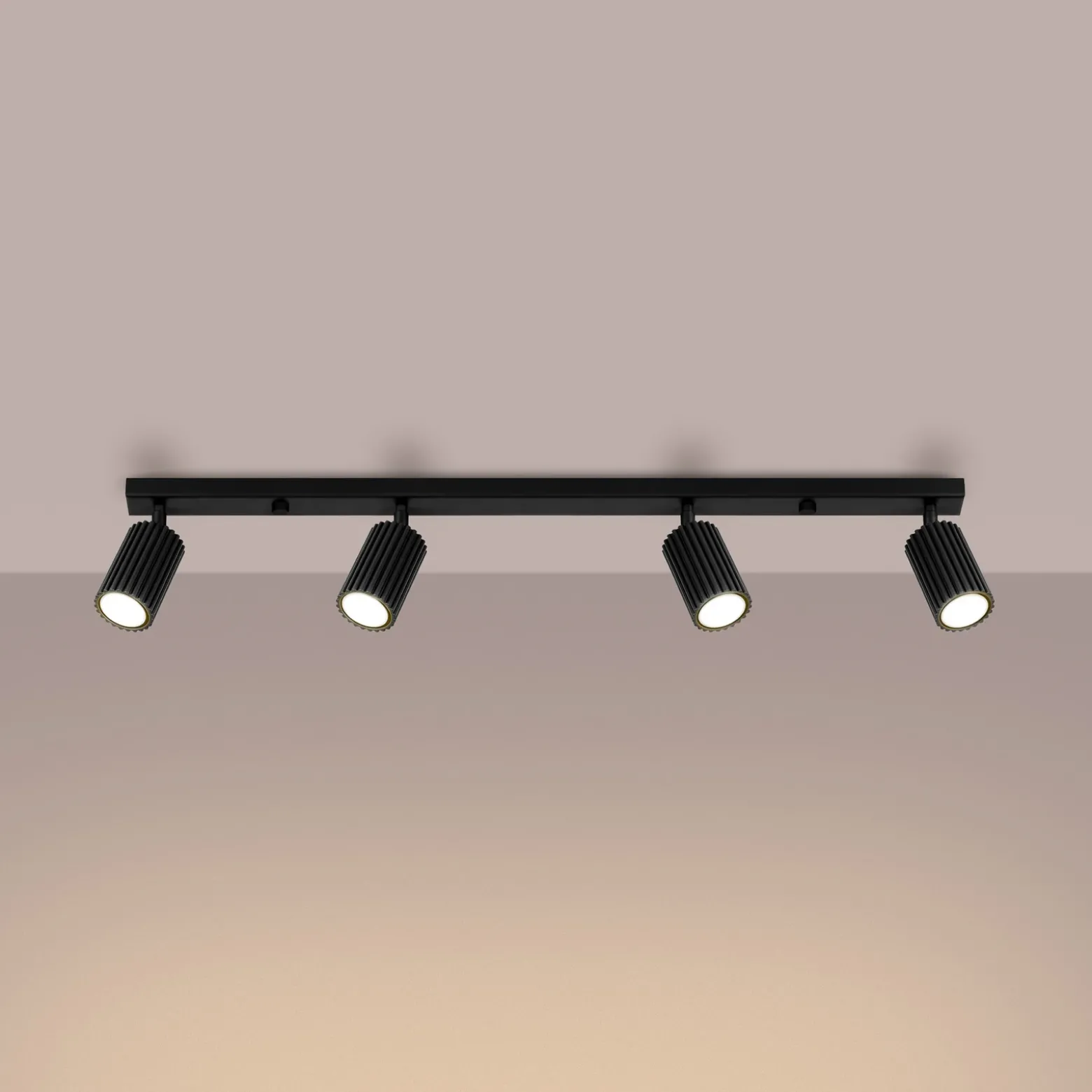 Downlight de techo de carbono, negro, longitud 81 cm, aluminio, 4 luces.