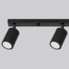 Downlight de techo de carbono, negro, longitud 81 cm, aluminio, 4 luces.