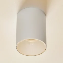 Downlight Eye Tone en forma cilíndrica blanco