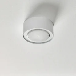 Downlight Flea de acero, blanco