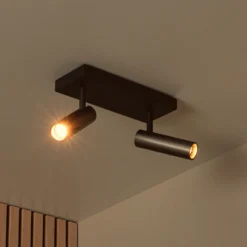 Downlight Grado, longitud 25 cm, gris, metal, 2 luces.