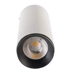 Downlight LED empotrable Lucea 10 W blanco