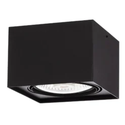Downlight Ronda, 1 luz, negro