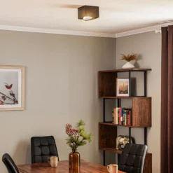 Downlight Ronda, 1 luz, negro