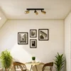 Downlight Zoom, 3 luces, negro/dorado