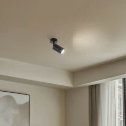 Downlight Zoom, 1 luz, negro