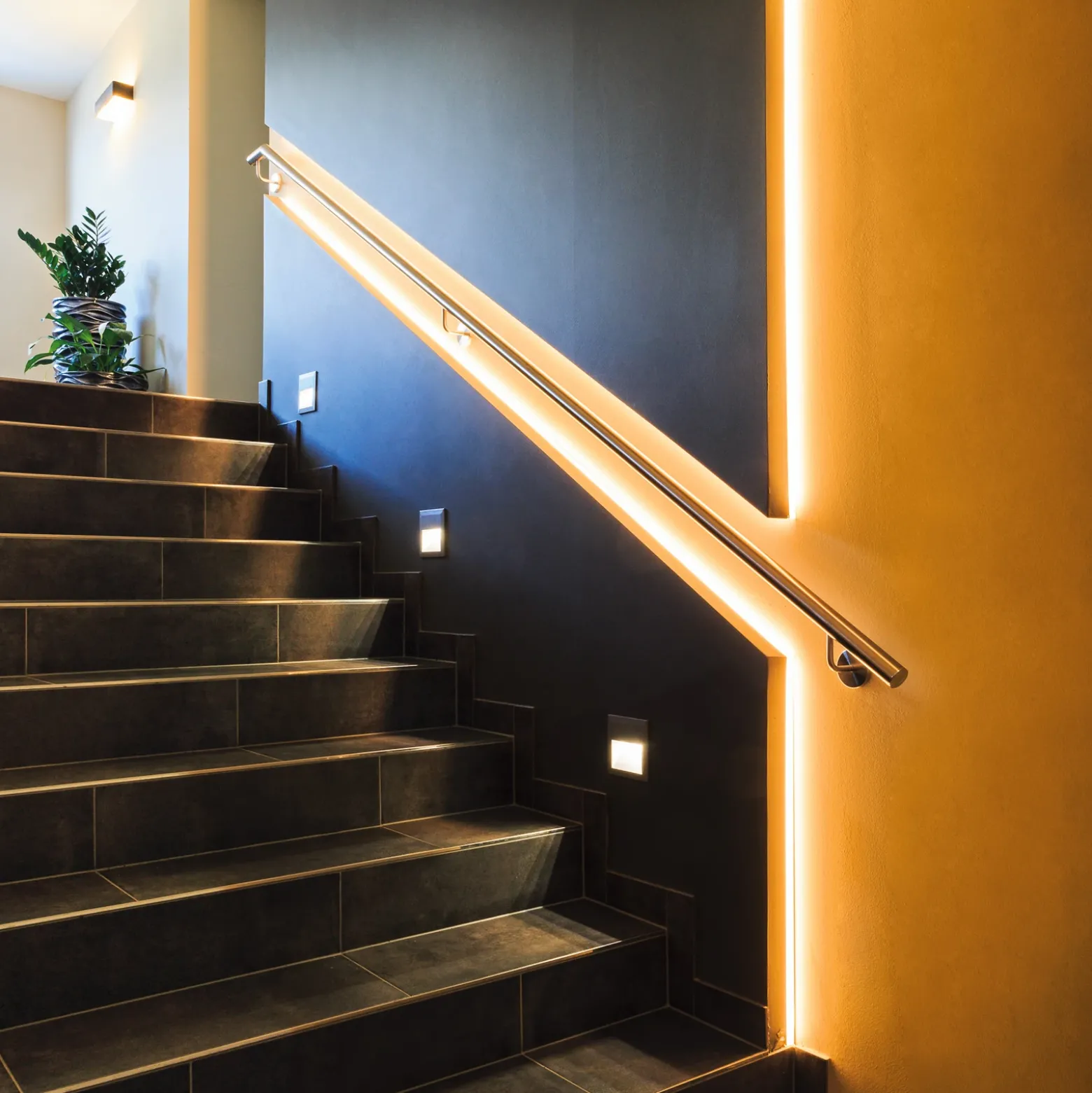EGLO connect Stripe-Z RGBW tira LED, 5m