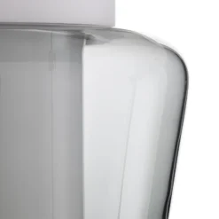 Elegante lámpara de techo Canio con cristal doble