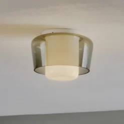 Elegante lámpara de techo Canio con cristal doble