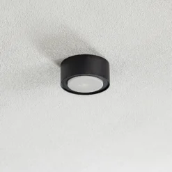 Flea downlight de techo de acero, negro