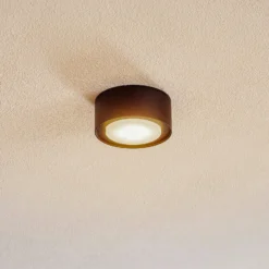 Flea downlight de techo de acero, negro
