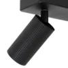 Foco de techo Clubs, 2 luces, negro