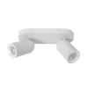 Foco de techo Punch, 2 luces, blanco
