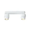 Foco LED BRUSH, blanco, 30 cm, 2 luces, metal, atenuable, 2700 K