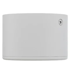 Foco LED de techo Anzio con cabezal orientable bla