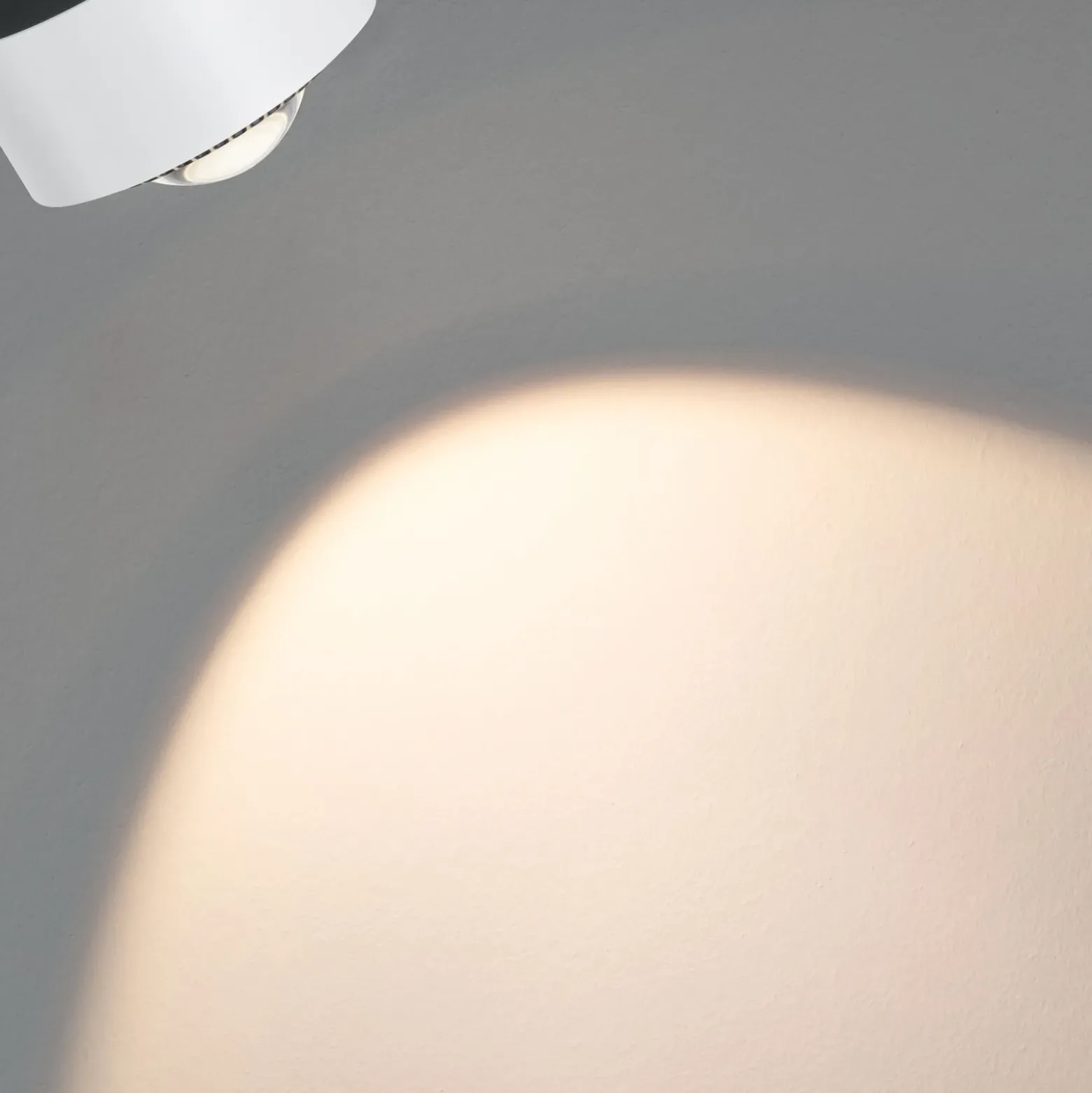 Foco LED Paulman URail Aldan, blanco señal, White Switch