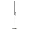 Foscarini Tobia terra lámpara de pie LED, negro
