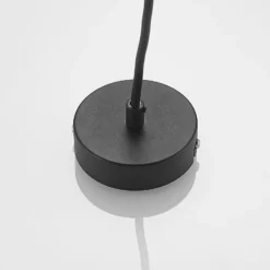 Fuente de alimentación Lindby Linaro, negra, sistema de riel monofásico