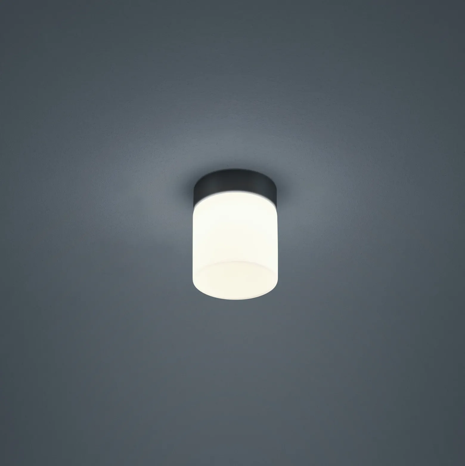 Helestra Keto plafón LED, cilindro, negro