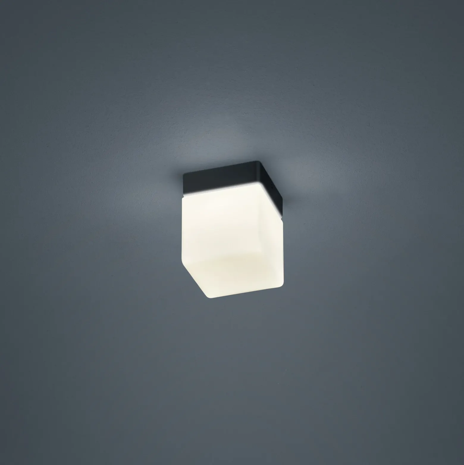 Helestra Keto plafón LED, cubo, negro