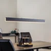Helestra Nex lámpara colgante LED negro mate