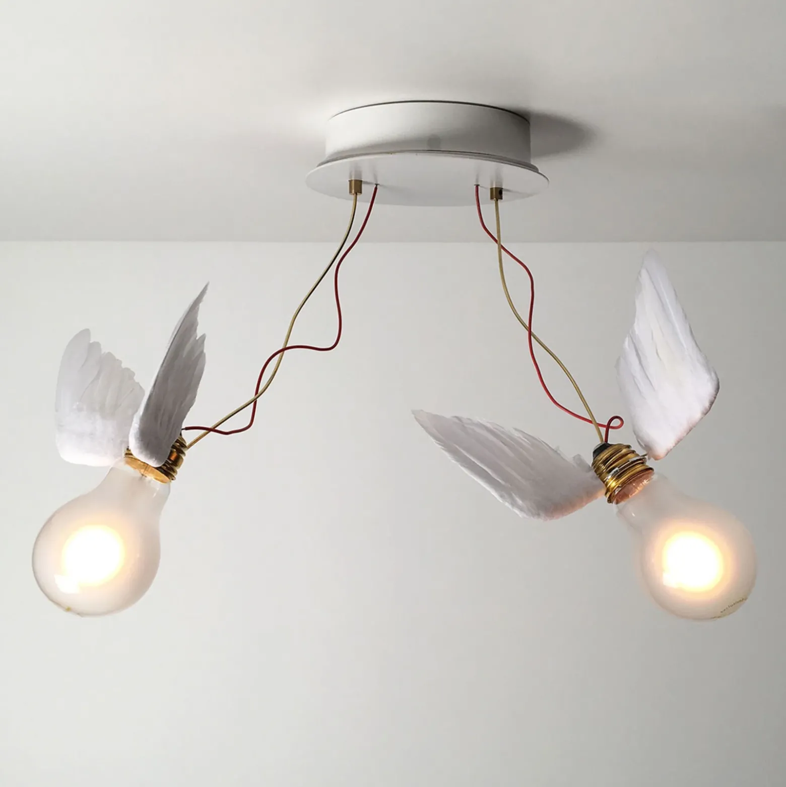 Ingo Maurer Lucellino Doppio plafón LED 2 luces