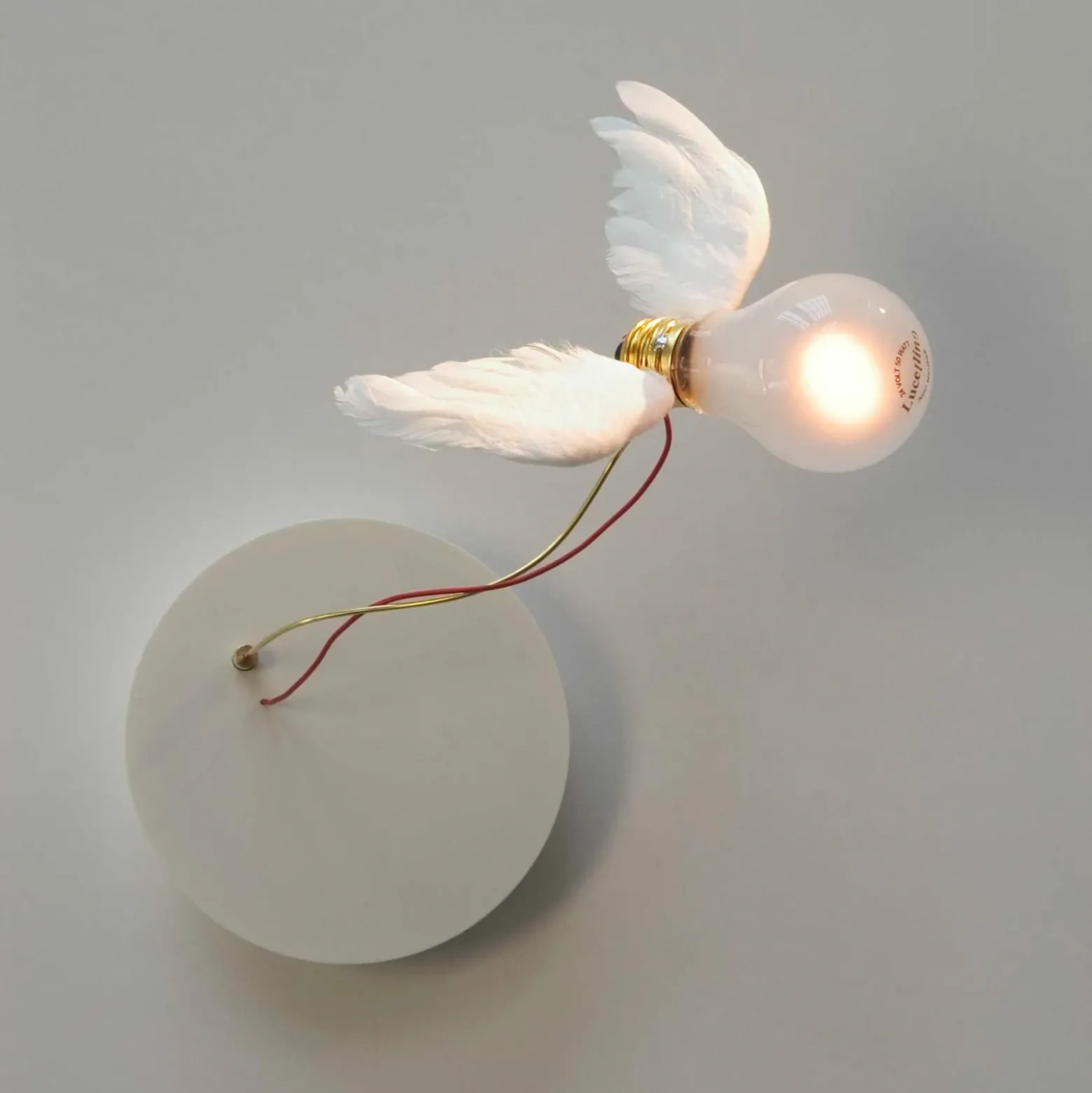 Ingo Maurer Lucellino NT aplique LED
