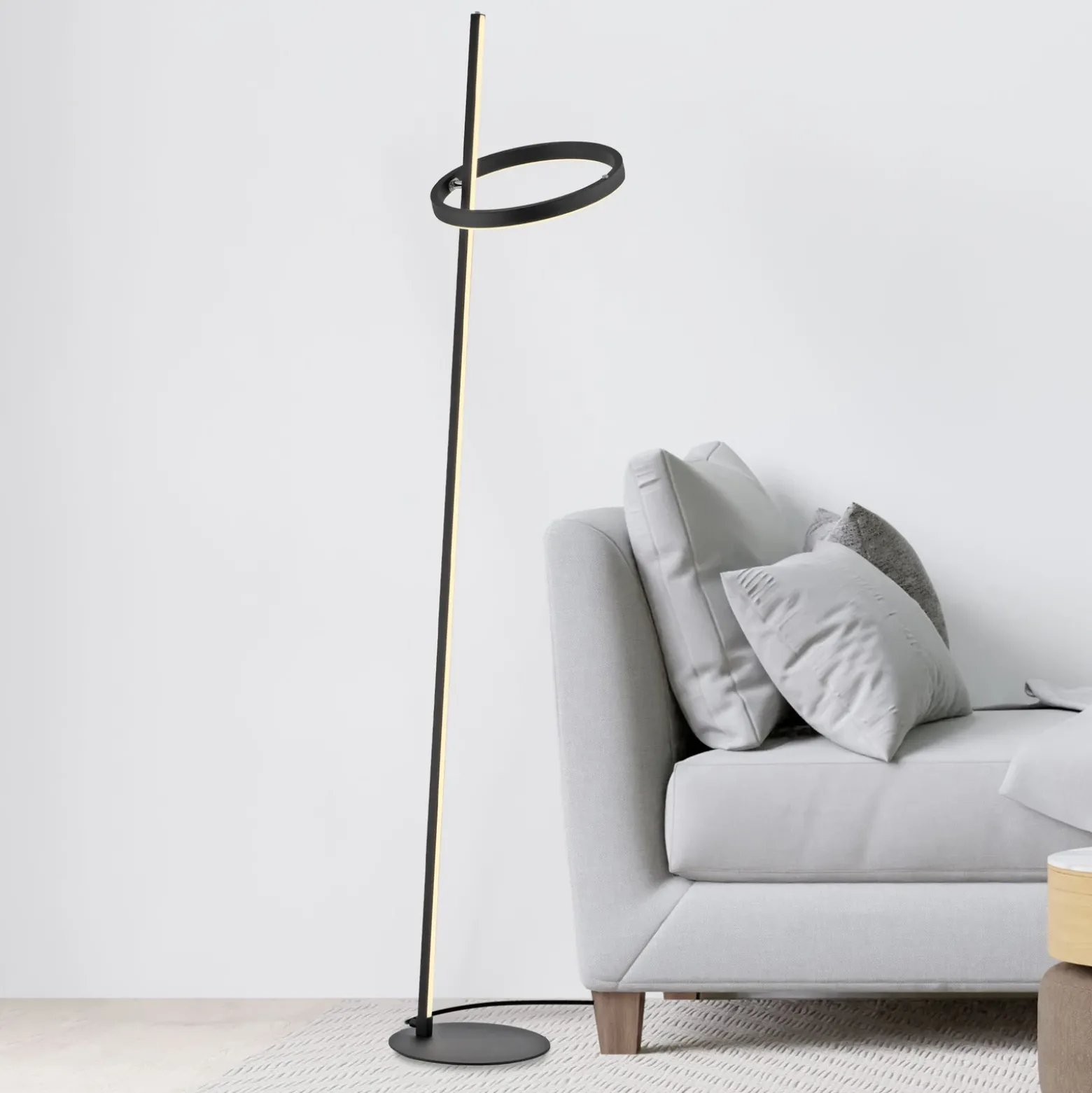 JUST LIGHT. Lámpara de pie LED Ritus negro hierro atenuador 3000 K