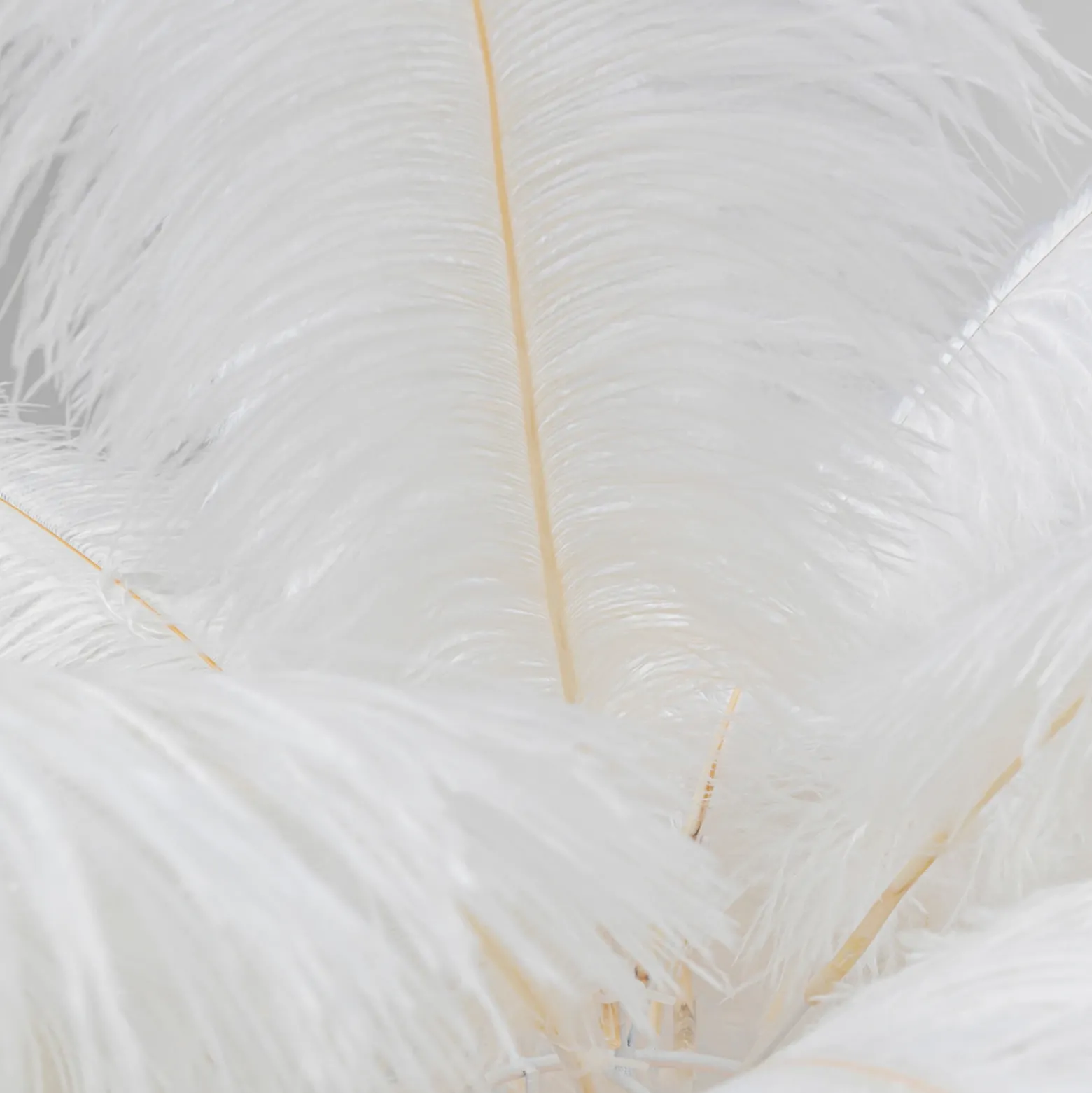 KARE Feather Palm lámpara de pie con plumas blanco