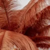 KARE Feather Palm lámpara de pie plumas rojo óxido