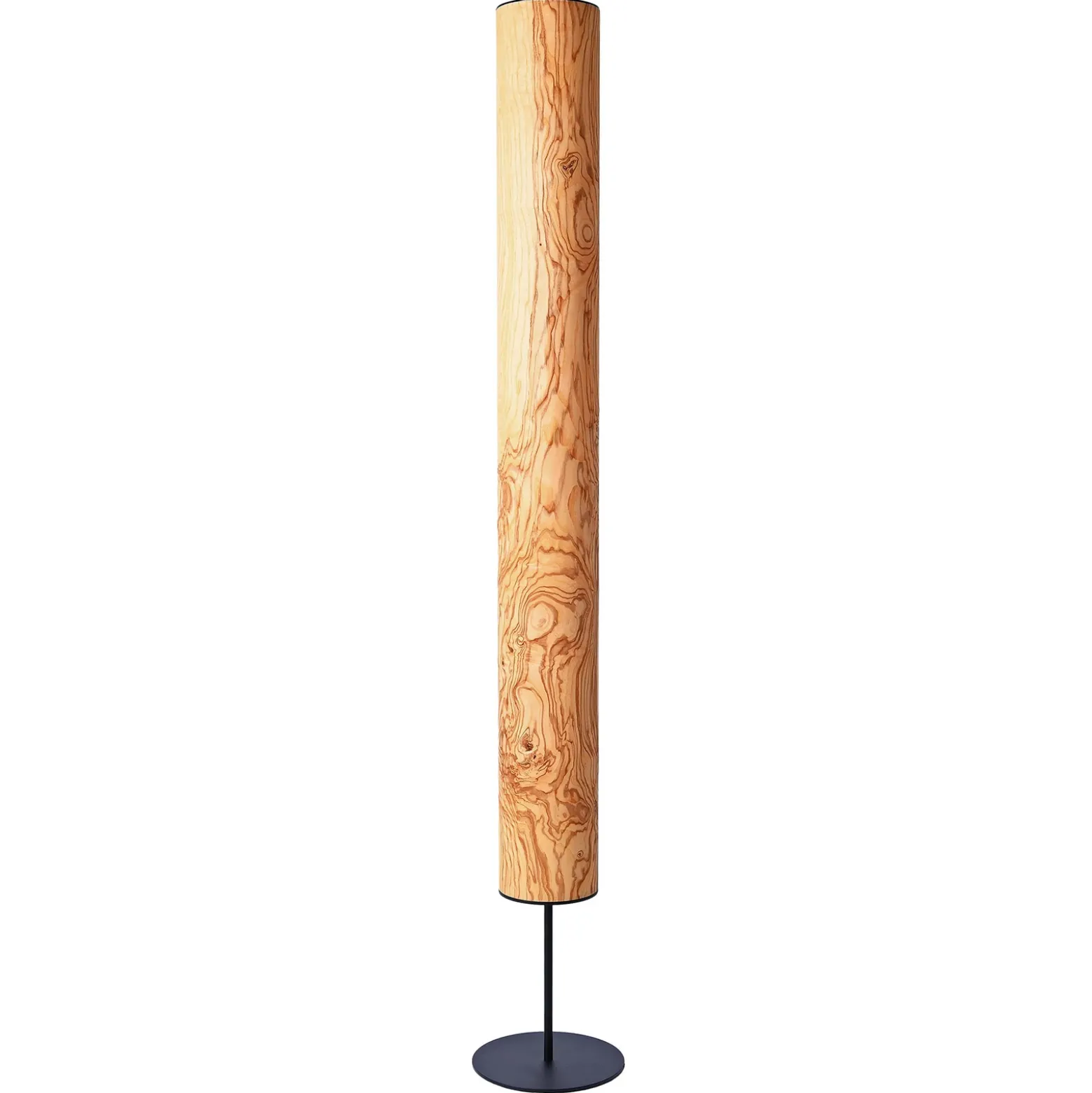 LeuchtNatur Arbor olivo vetas negro